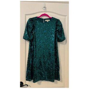 Vine & Love Green Sequin  Dress